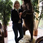 В отеле с медведем